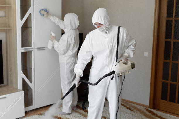 Best Attic Mold Removal  in Riviera Beach, MD